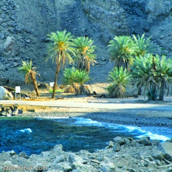 مشهد من شواطئ مقنا - عدسة ( محمد سلامة العمراني )