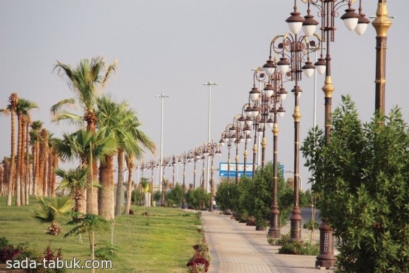 مشهد من حديقة المطار بتبوك - عدسة ( خالد الجابر )
