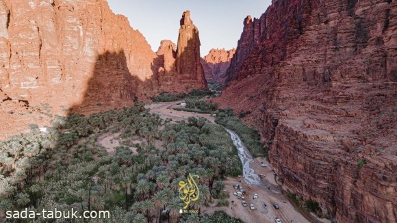 منظر من وادي الديسة الذي يتميز بوفرة جداول المياه واشجار النخيل ( عدسة: عبدالرحمن الجربوع )