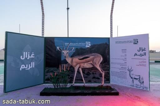انطلاق مهرجان محمية الملك سلمان بن عبدالعزيز الملكية وسط اقبال كبير من الزوار