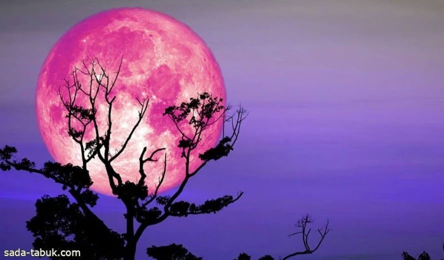 لماذا يسمى بدر أبريل بـ"القمر الوردي"؟