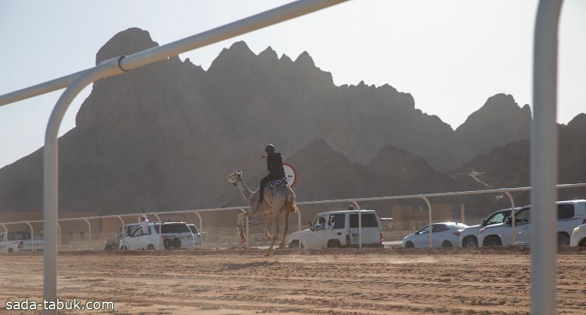 الاتحاد السعودي للهجن يسجل رقماً قياسياً بإقامة 1722 شوط في 11 مهرجان ومسابقة