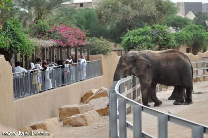 وزارة الاستثمار: إنشاء 16 حديقة حيوان في مناطق المملكة بتكلفة 3.9 مليار ريال