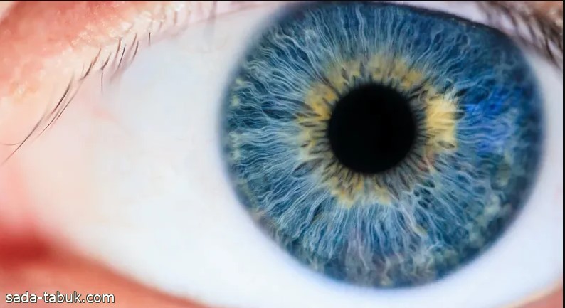 اكتشاف جديد.. علاج العين قد يصبح أكثر أماناً
