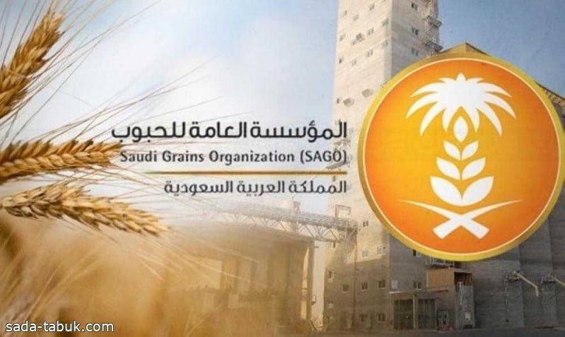 مؤسسة الحبوب توافق على مراجعة سعر شراء القمح للموسم الحالي