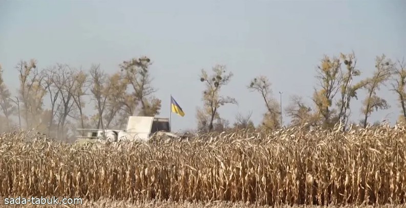 تهدد أمن الغذاء العالمي.. 22 مليون طن "حبوب عالقة" بأوكرانيا