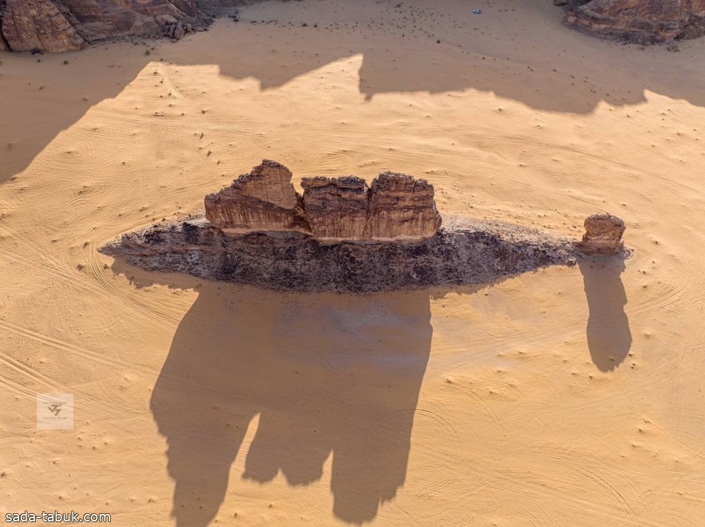 المصور الضوئي السعودي خالد العنزي يكشف قصة صورة التحفة الأثرية "سمكة الصحراء"