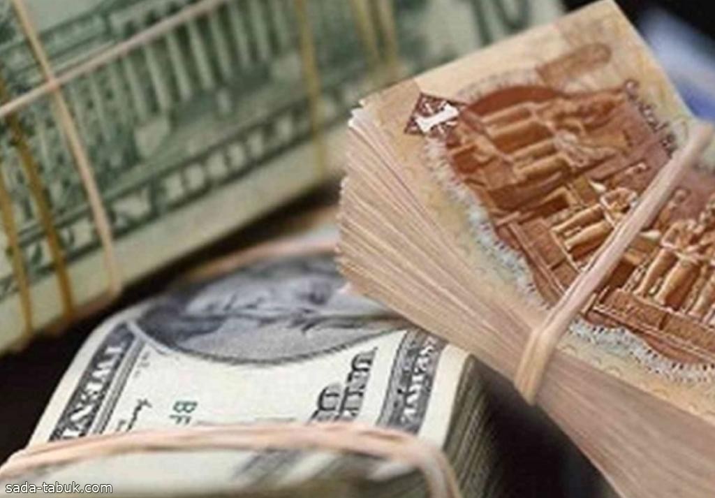 هبوط قياسي جديد للجنية المصري أمام الدولار