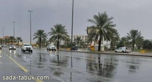 الأرصاد: استمرار الأمطار الرعدية على معظم المناطق من غدٍ ولمدة 5 أيام