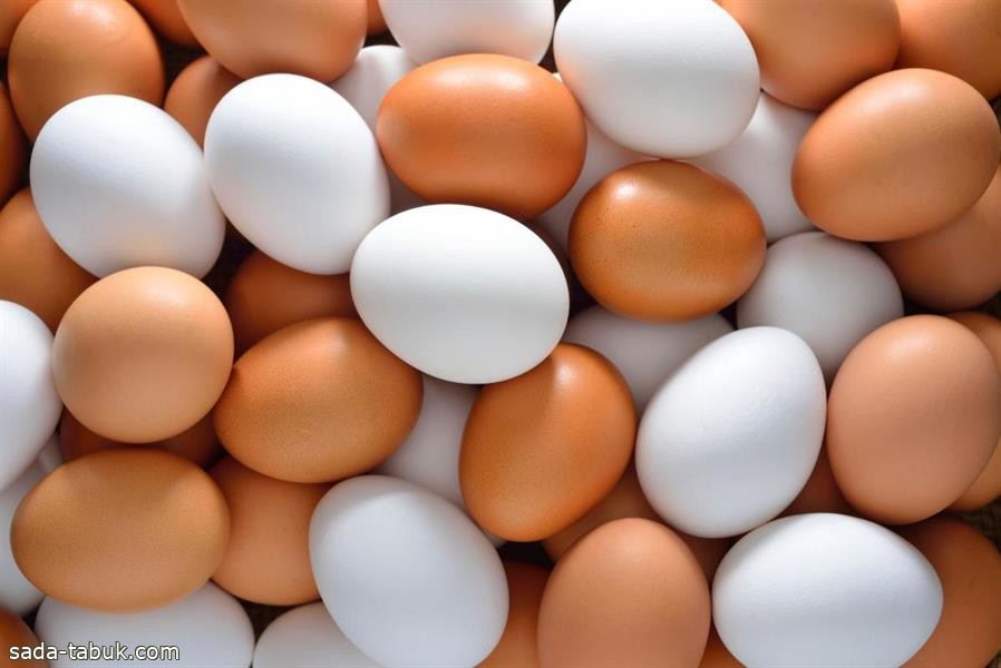 "الغذاء والدواء": لا يوجد اختلاف في القيمة الغذائية بين البيض الأبيض والبني