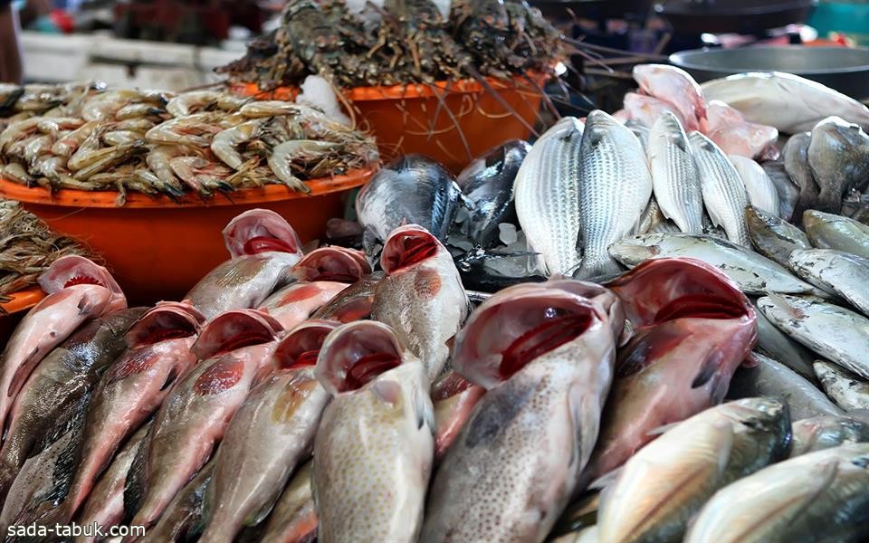 "الزكاة والجمارك" توضح مدى إمكانية استيراد الأفراد الأسماك من دول الخليج
