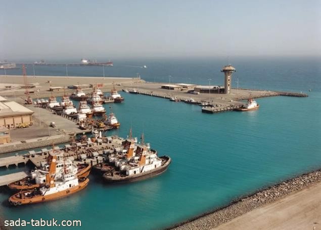 بيان إلحاقي من "الالتزام البيئي" حول الانسكاب الزيتي بميناء الملك فهد بينبع
