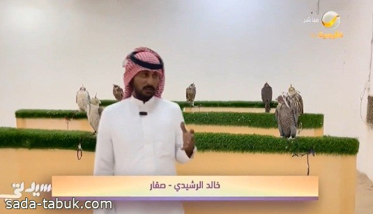 بـ 271 ألف ريال .. بالفيديو: قصة أغلى طير بيع في مزاد نادي الصقور السعودي