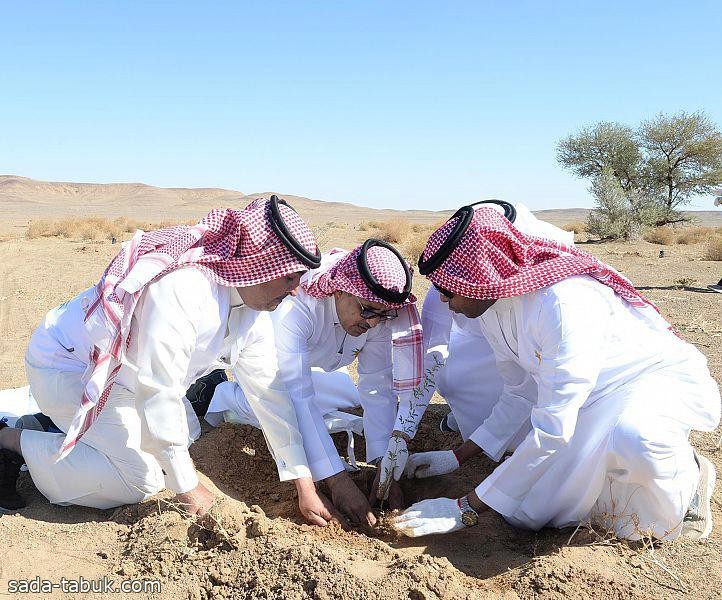 " معادن " تساهم بزراعة 100 ألف شجرة في محمية الملك سلمان بن عبدالعزيز