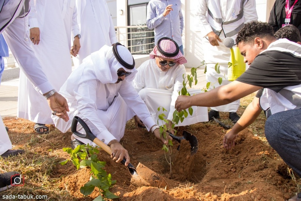 محافظ أبو عريش يدشن  مبادرة تشجير "لنجعلها خضراء"