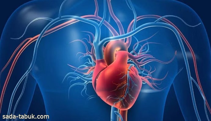 علاقة البيض وصحة القلب.. دراسة حديثة تكشف عن مفاجأة غير متوقعة