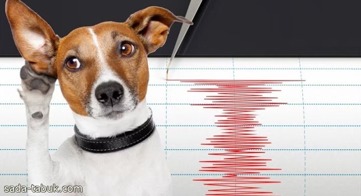 هل يمكن للحيوانات استشعار الزلازل قبل وقوعها؟.. العلماء يجيبون