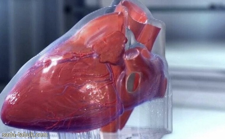 اليابان تعلن عزمها إجراء أول تجربة لعلاج مرض فشل القلب باستخدام الخلايا الجذعية