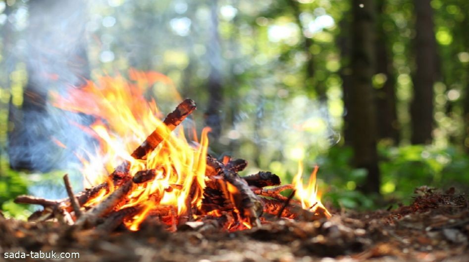 ضبط 19 مخالفًا لنظام البيئة لإشعالهم النار في المناطق المحمية وأراضي الغطاء النباتي