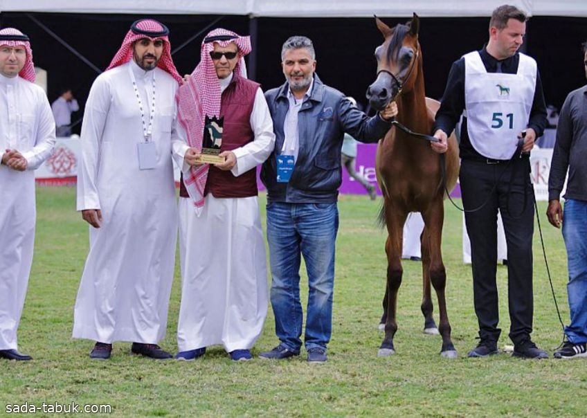 انطلاق منافسات البطولة الوطنية الـ 12 لجمال الخيل العربية الأصيلة بالرياض