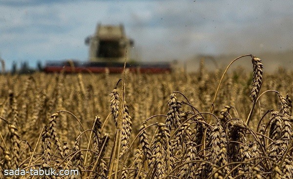 روسيا تعلن أنها وافقت على تمديد اتفاقية تصدير الحبوب الأوكرانية 60 يوماً