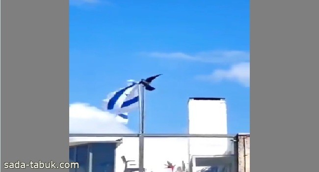 فيديو| غراب يمزق ويسقط علم إسرائيل بمنقاره