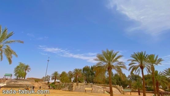 بلدية تيماء تواصل أعمالها لإعادة تأهيل منتزه الأمير فهد بن سلطان