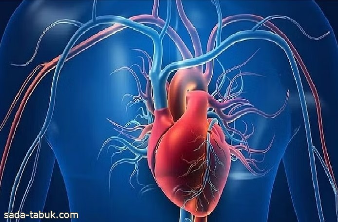 دراسة تتوصل إلى علاج جديد لأمراض القلب التاجية