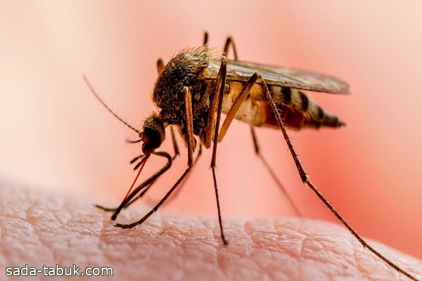 أمريكا تسجل أولى الإصابات المحلية بالملاريا منذ 20 عاماً