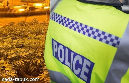 بريطانيا تصادر مخدرات بـ165 مليون دولار