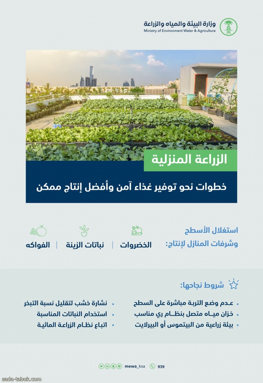 "البيئة": الزراعة المنزلية خطوة نحو تحقيق فوائد بيئية وصحية وتوفير غذاء آمن