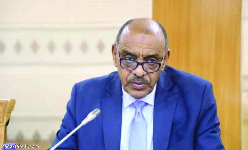 السودان : من الصعب تحقيق أهداف الوساطة المصرية إذا شاركت أطراف من خارج المنطقة