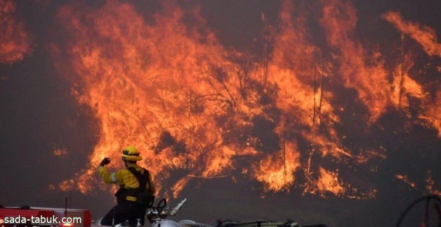 اندلاع حريق هائل في غابات موغلا بتركيا