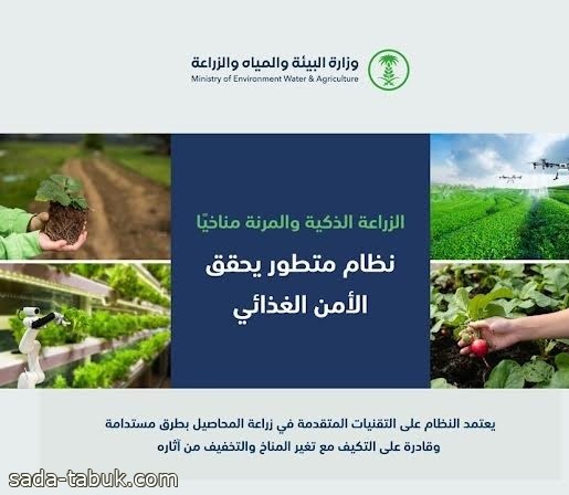 البيئة : الاستثمارات في الزراعة الذكية ترفع الإنتاج والإنتاجية وتحقِّق الأمن الغذائي