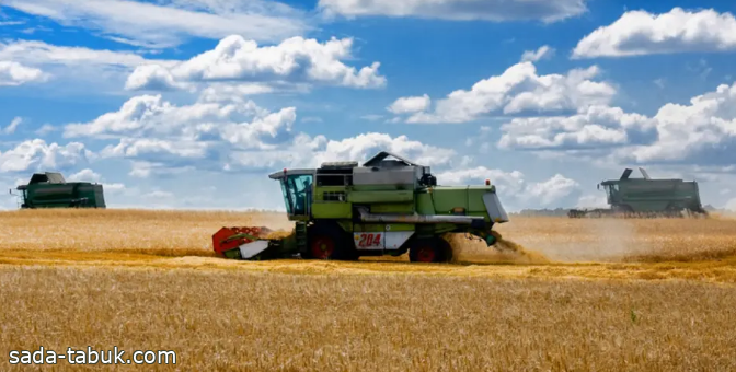 ارتفاع سعر القمح 12% منذ إنهاء العمل بصفقة الحبوب