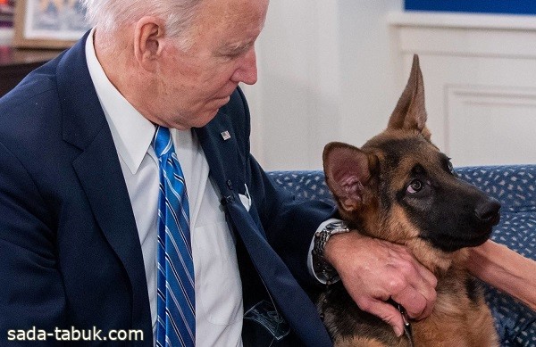 كلب بايدن يهاجم موظفين وأفراداً من الخدمة السرية في البيت الأبيض