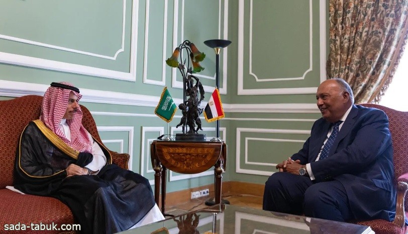 الأمير فيصل بن فرحان يستعرض مع وزير الخارجية المصري علاقات الأخوة الراسخة