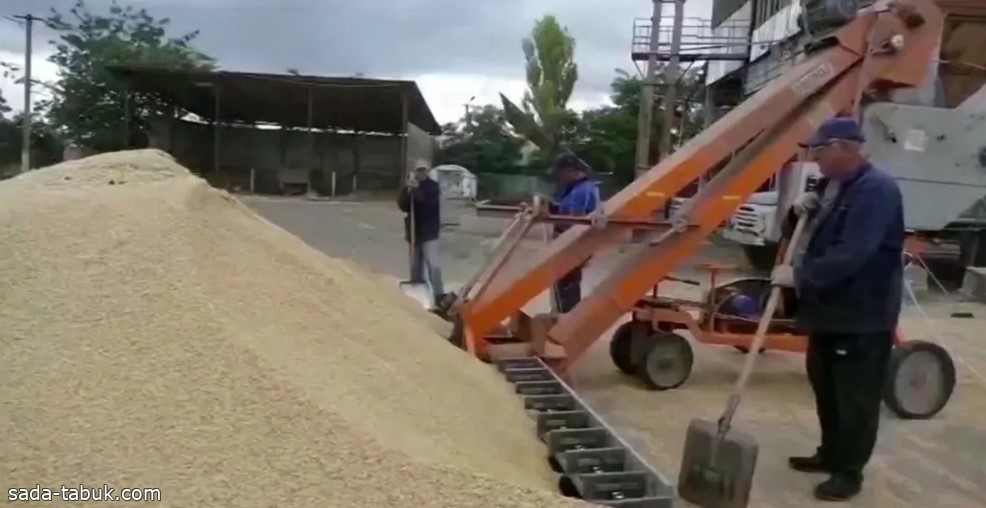 أوكرانيا تدرس استخدام ممر جديد في البحر الأسود لتصدير الحبوب