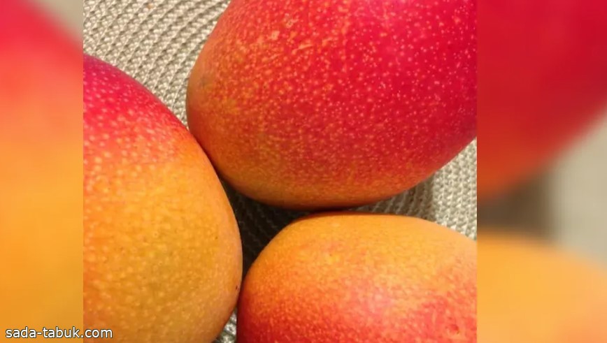 المانجو...كيف تؤثر فاكهة الصيف المحببة على الصحة؟