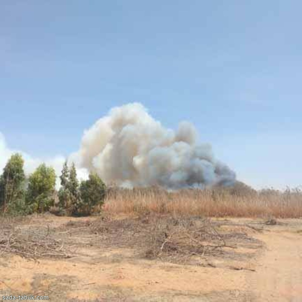 حريق ضخم يدمر «الغابة الشجرية بسيناء» والأجهزة المصرية الأمنية ترفع حالة الطوارئ