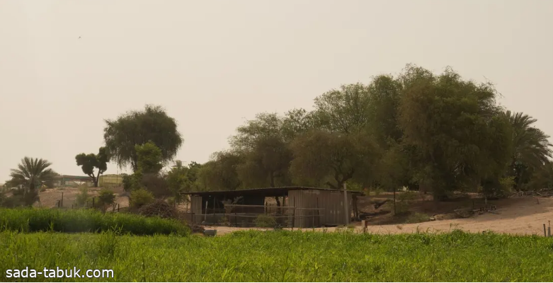 بيوت المزارع تنضم رسمياً إلى المرافق السياحية في أبوظبي