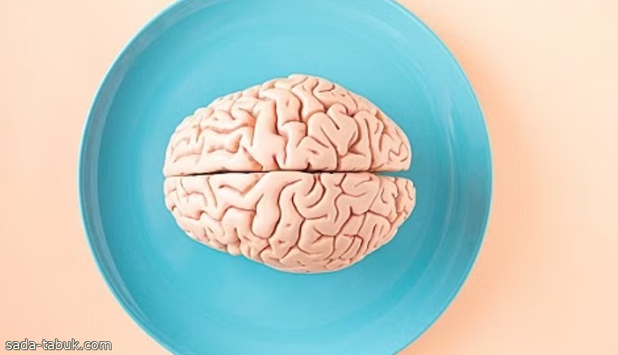 من ذكاء الفرد إلى التفكير الجماعي.. العلم يكشف لماذا تقلص مخ الإنسان بحجم ليمونة