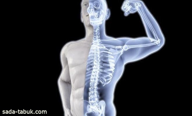تحسين قوة العظام 3% فقط يخفض معدل الكسور.. دراسة تكشف