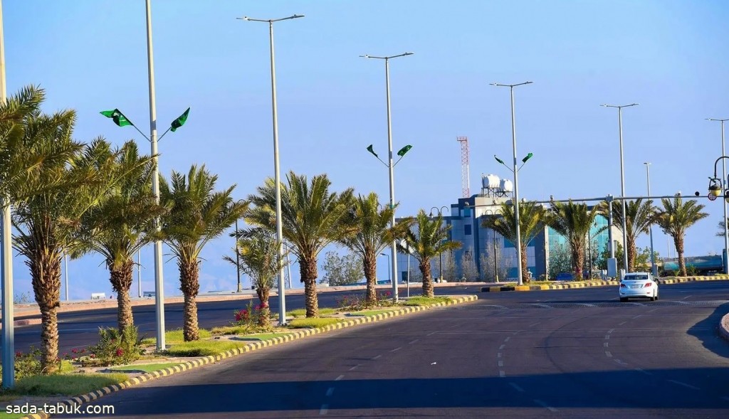 محافظة حقل ترتدي حلتها الخضراء أحتفالاً باليوم الوطني الـ 93 للمملكة