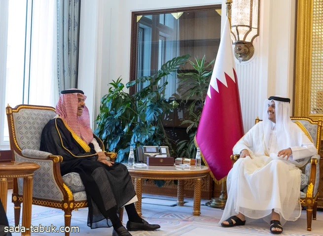 وزير الخارجية يبحث مع رئيس الوزراء القطري العلاقات الثنائية وسبل تطويرها
