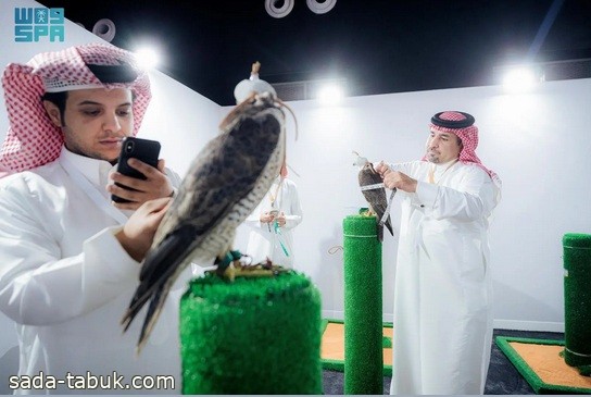 مبيعات مزاد نادي الصقور السعودي تقارب المليون ريال في ختام الليلة السادسة
