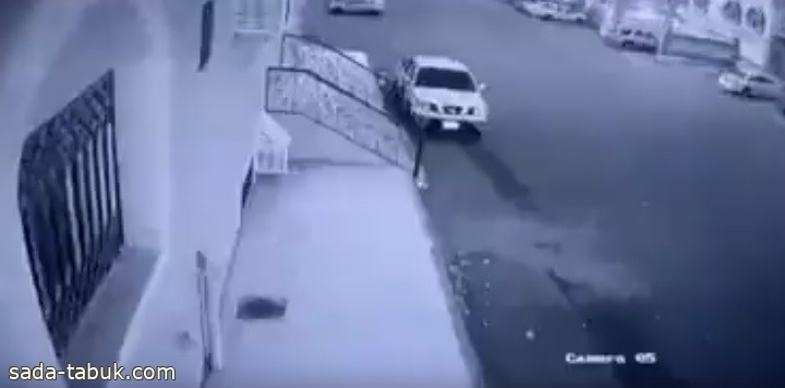 بالفيديو .. كلاب ضالة تهاجم طفل في الطائف