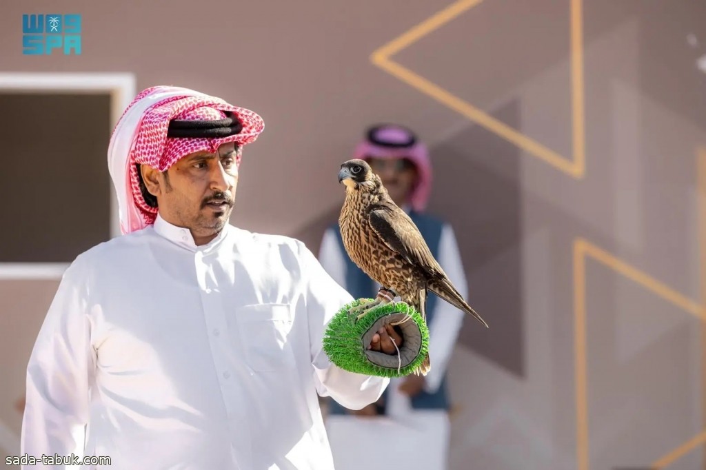 صقارون سعوديون يقدمون وصفة النجاح للفوز بأشواط مسابقة الملواح في مهرجان الملك عبدالعزيز للصقور