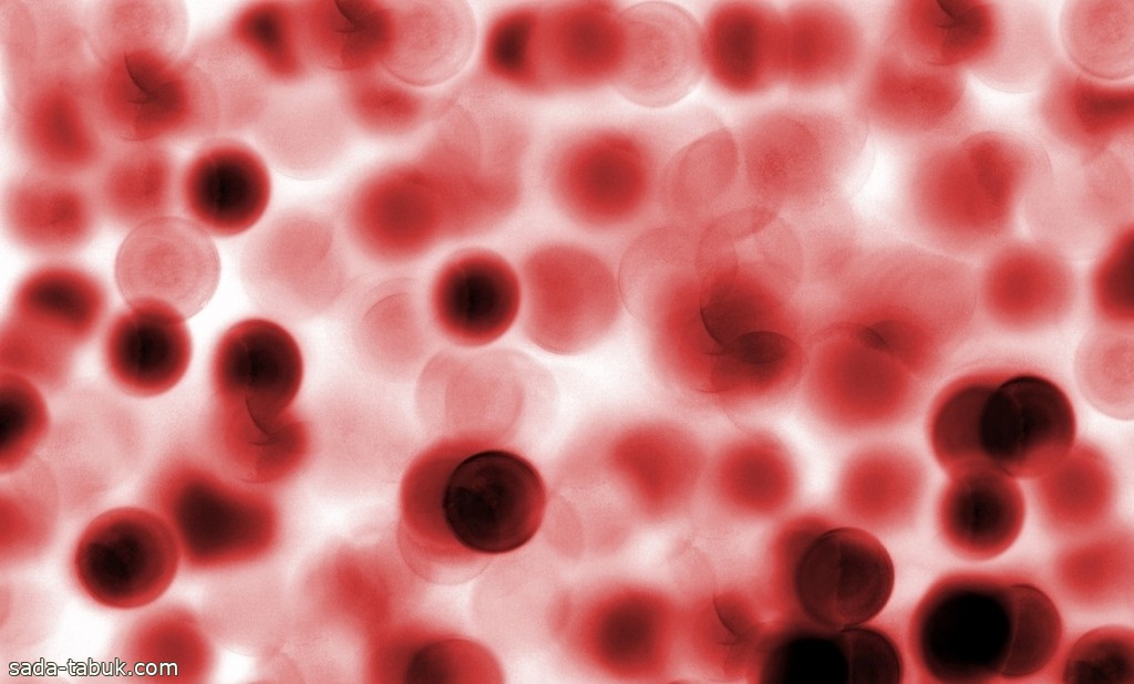 اكتشاف علمي سعودي على سطح خلايا الدم الحمراء