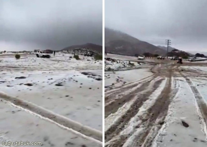 فيديو: لحظة تساقط الثلوج على جبل اللوز في تبوك
